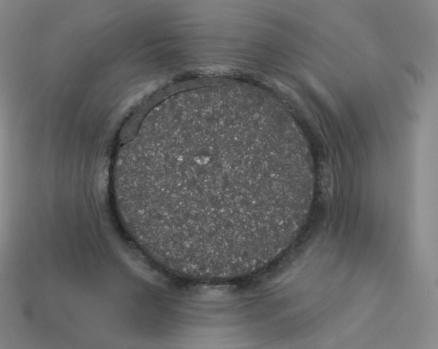 X0000113550495200910161437