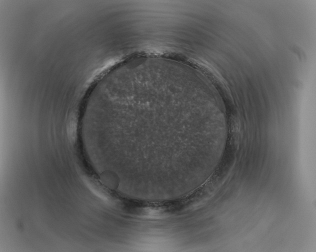 X0000113550496200910161437