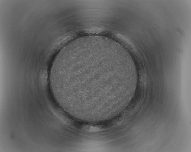 X0000113550498200910161437