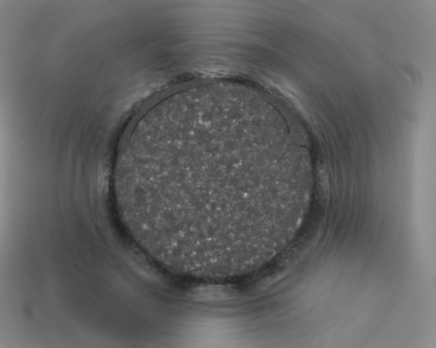 X0000113550499200910161437