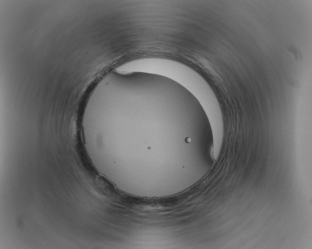 X0000113550500200910161437