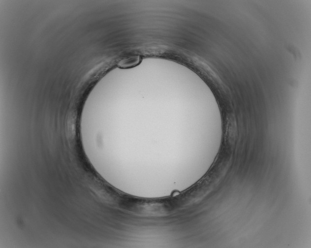 X0000113550501200910161437