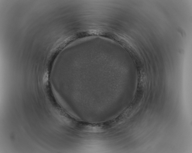 X0000113550502200910161437