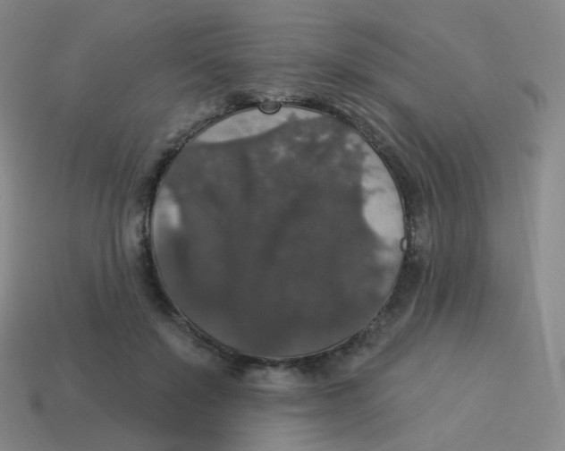 X0000113550503200910161437