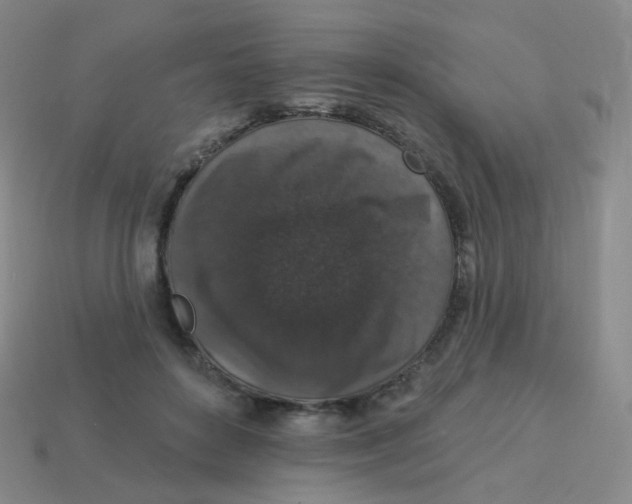 X0000113550504200910161437