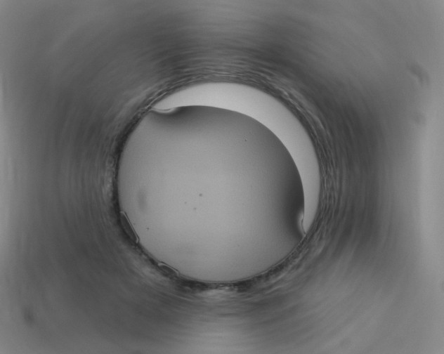 X0000113550505200910161437