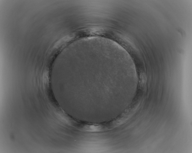 X0000113550506200910161437