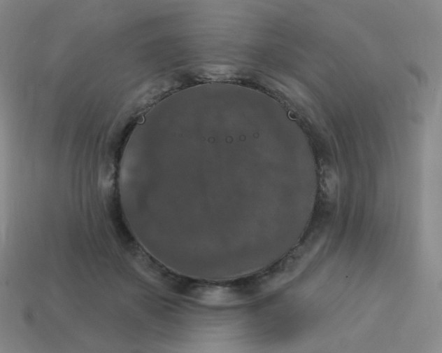 X0000113550507200910161437