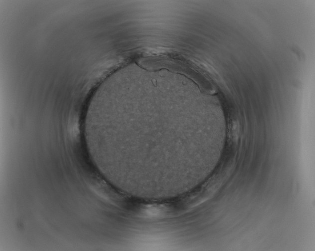 X0000113550508200910161437