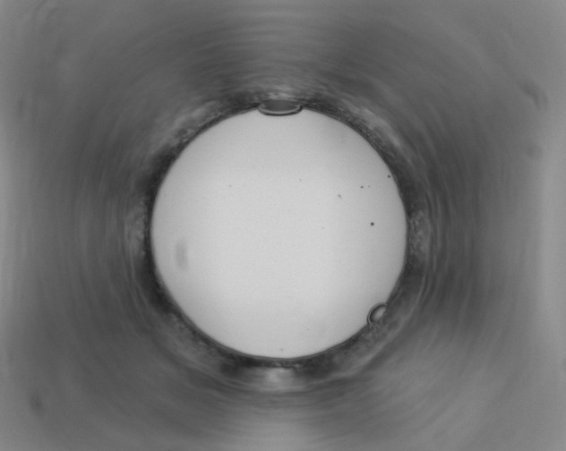 X0000113550509200910161437