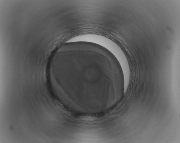 X0000113550512200910161437