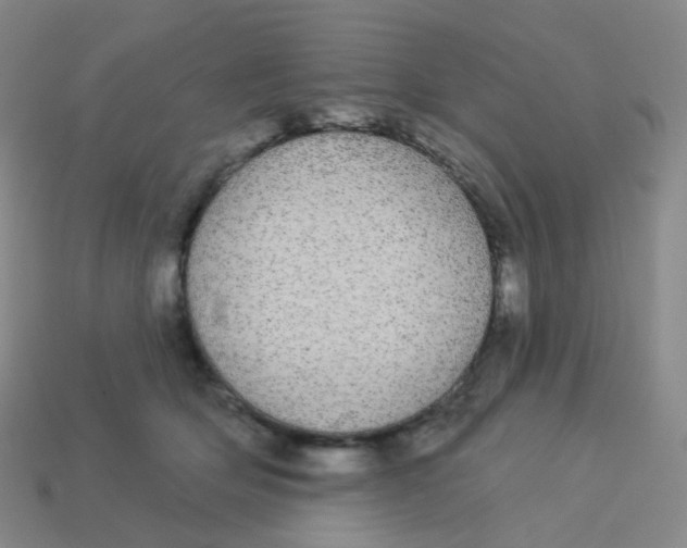 X0000113550514200910161437