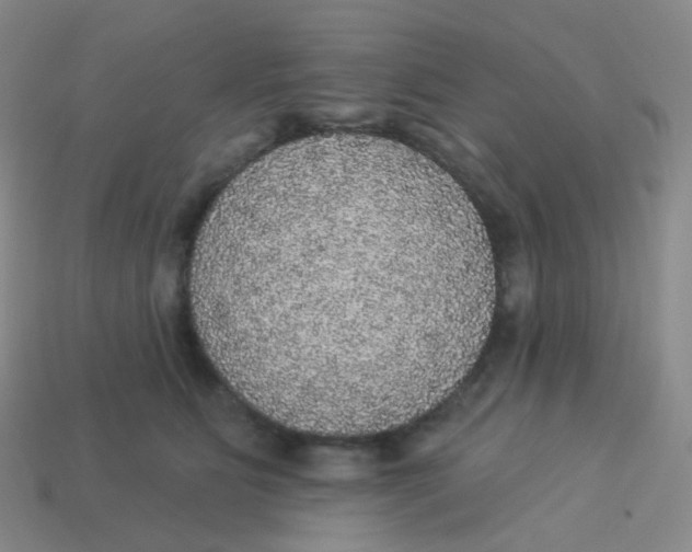 X0000113550515200910161437