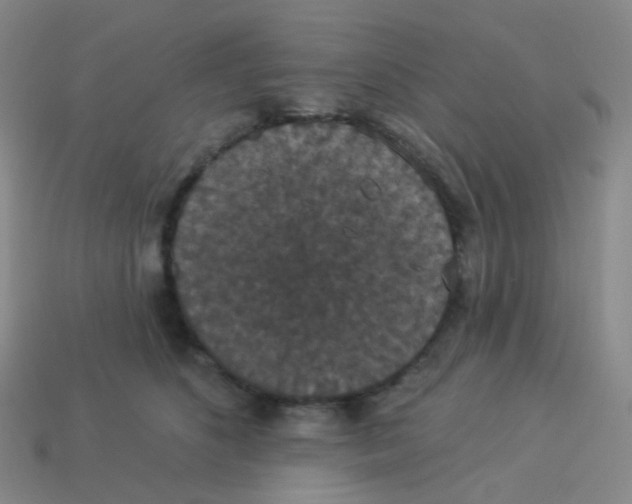 X0000113550516200910161437