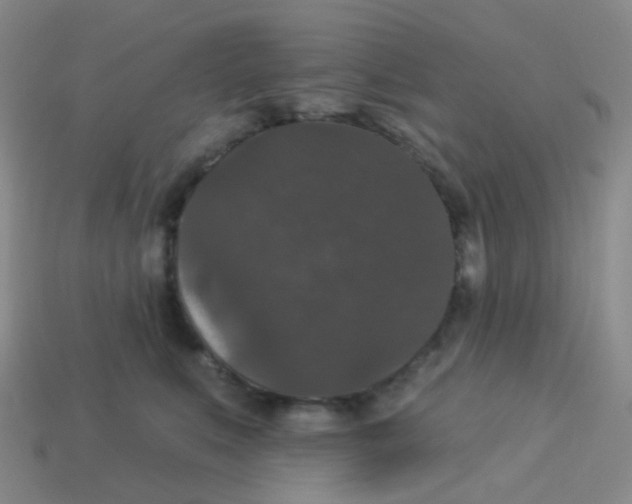 X0000113550519200910161437