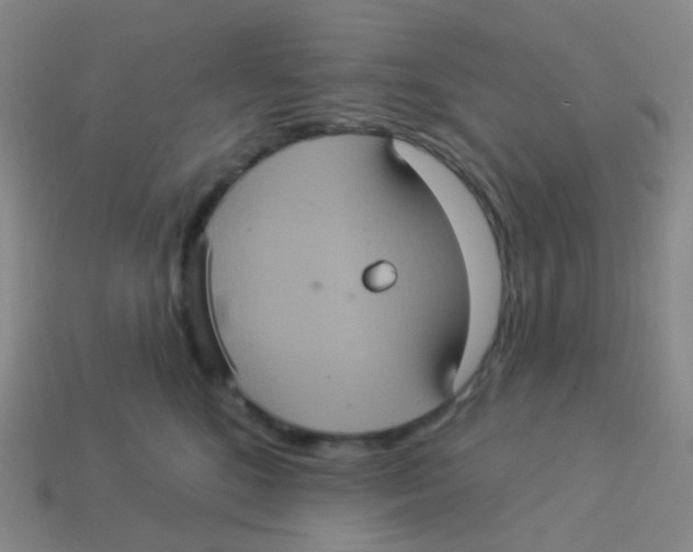 X0000113550520200910161437