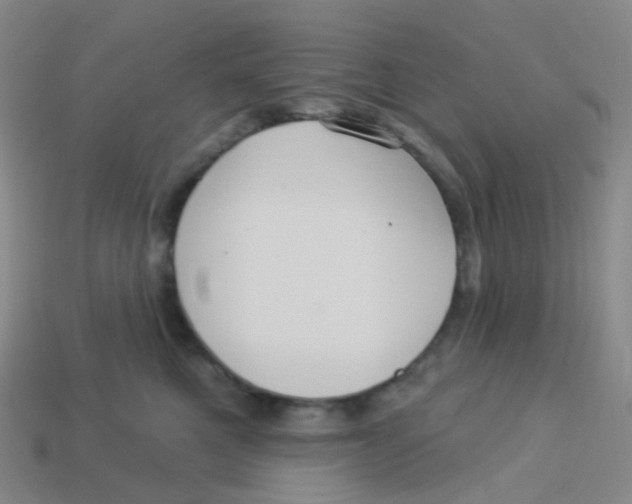 X0000113550521200910161437