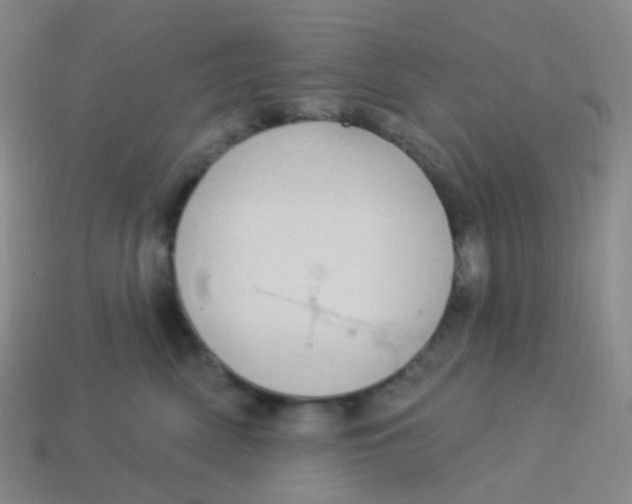 X0000113550522200910161437