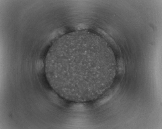 X0000113550523200910161437