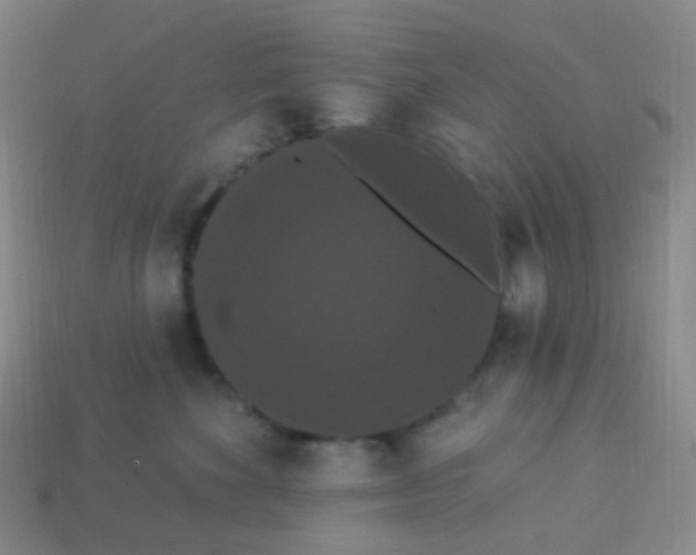 X0000113550524200910161437