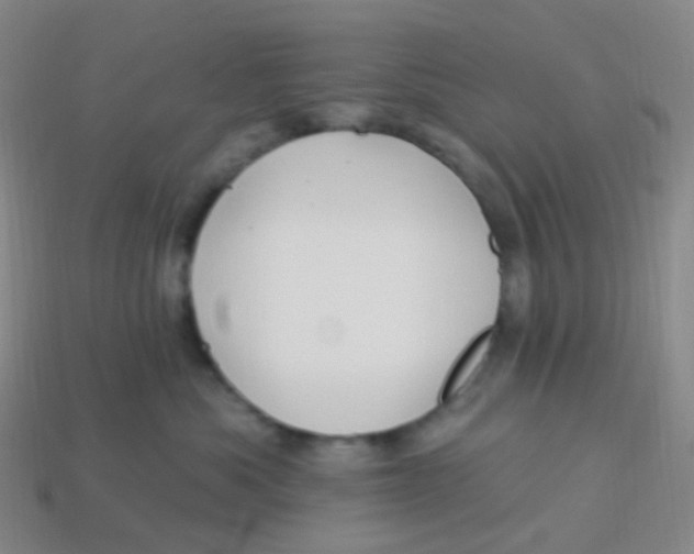 X0000113550525200910161437