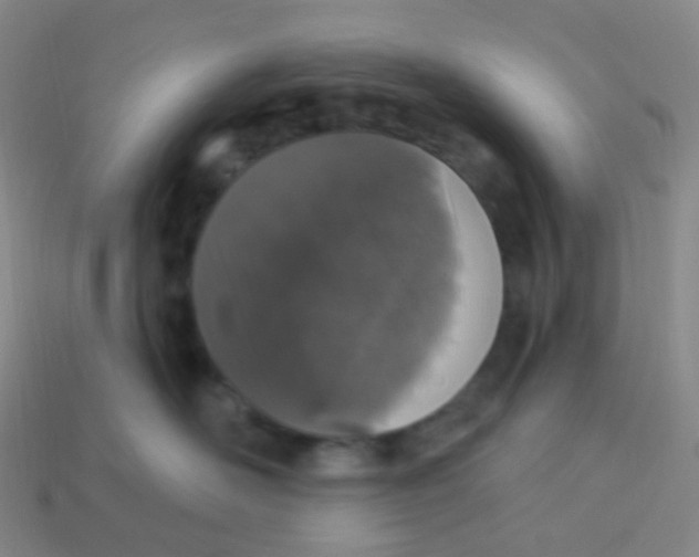 X0000113550526200910161437