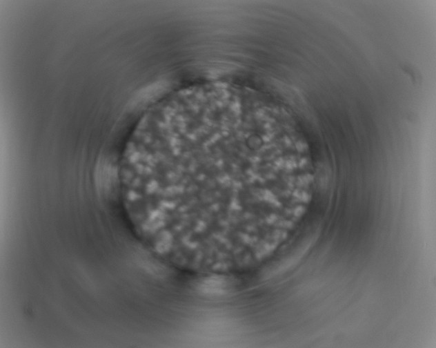 X0000113550527200910161436