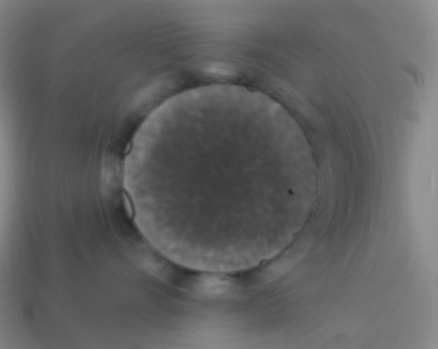 X0000113550528200910161436