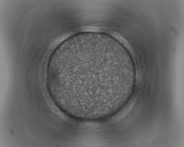 X0000113550529200910161436