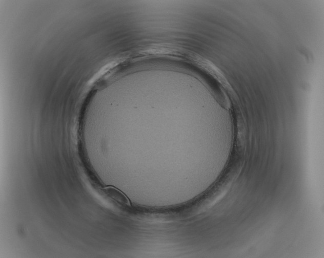 X0000113550530200910161436