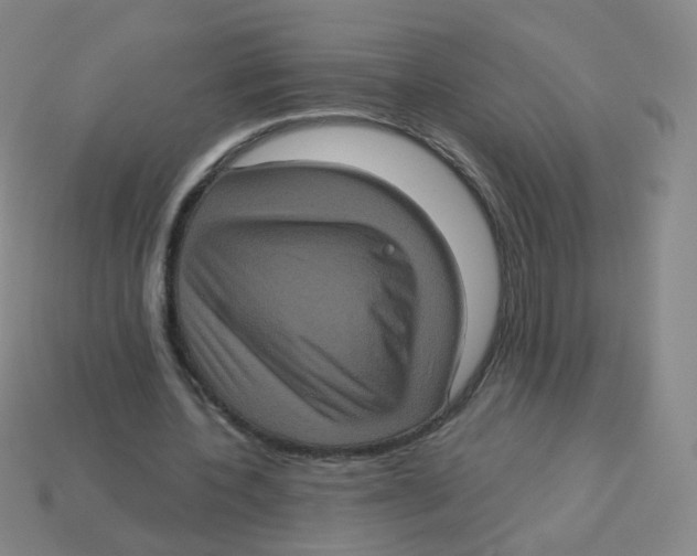 X0000113550532200910161436