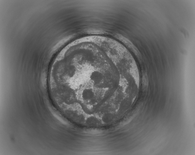 X0000113550533200910161436