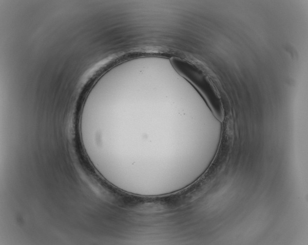 X0000113550536200910161436