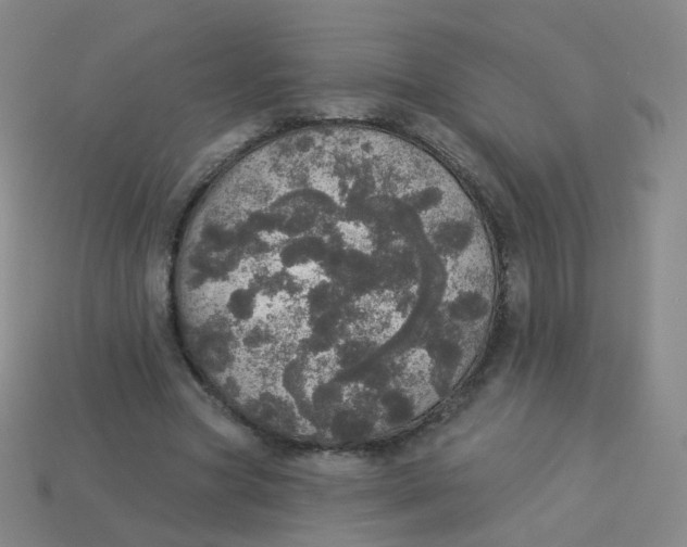 X0000113550537200910161436
