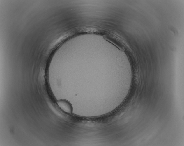 X0000113550538200910161436