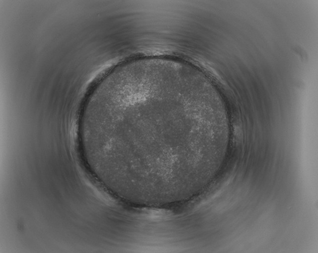 X0000113550539200910161436
