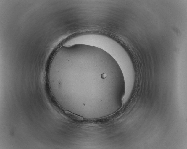 X0000113550540200910161436