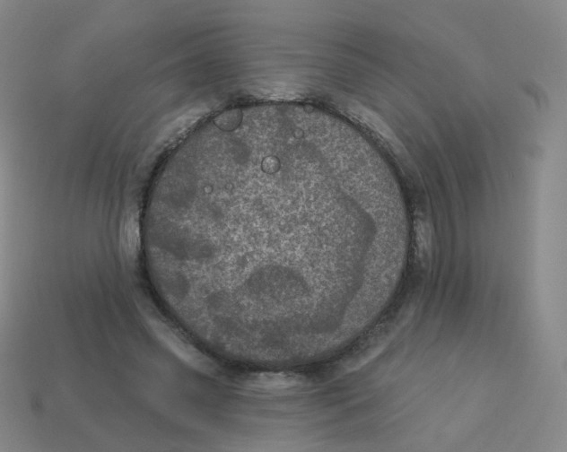X0000113550541200910161436