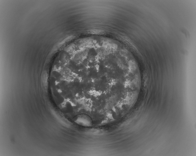 X0000113550542200910161436