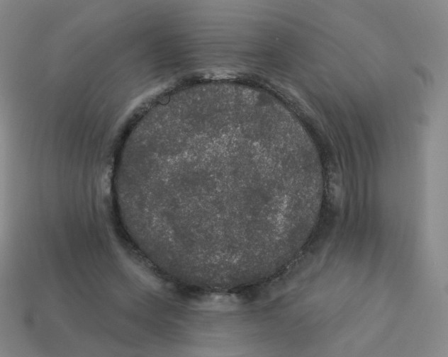 X0000113550543200910161436