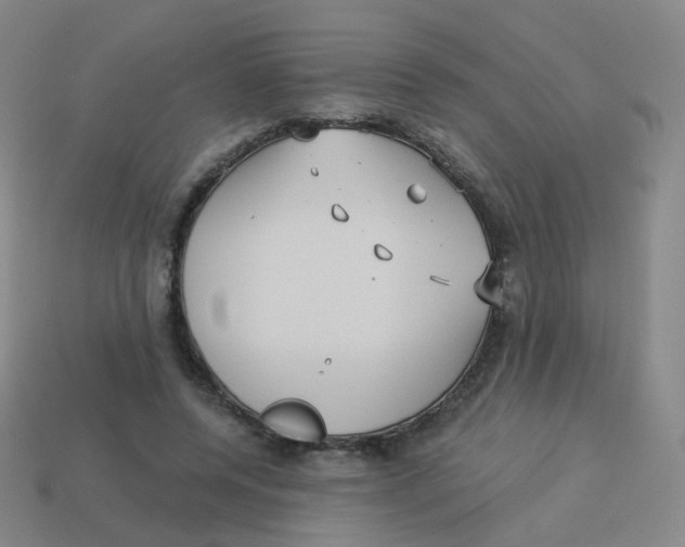 X0000113550544200910161436