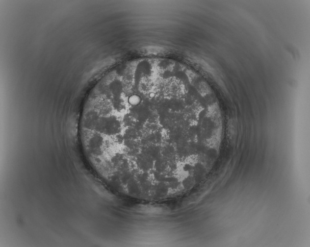 X0000113550545200910161436