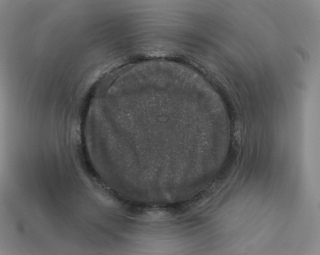 X0000113550547200910161436
