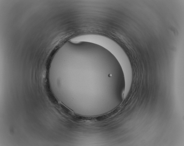 X0000113550548200910161436