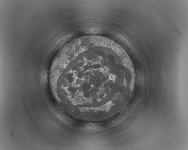 X0000113550549200910161436