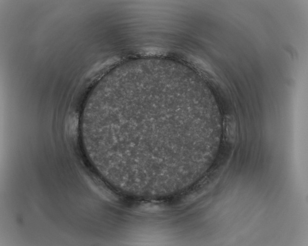 X0000113550550200910161436