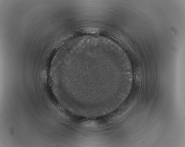 X0000113550551200910161436