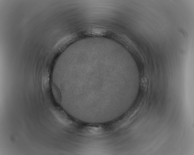 X0000113550552200910161436