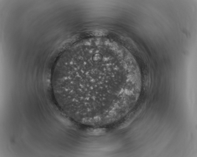 X0000113550553200910161436