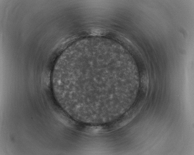 X0000113550554200910161436